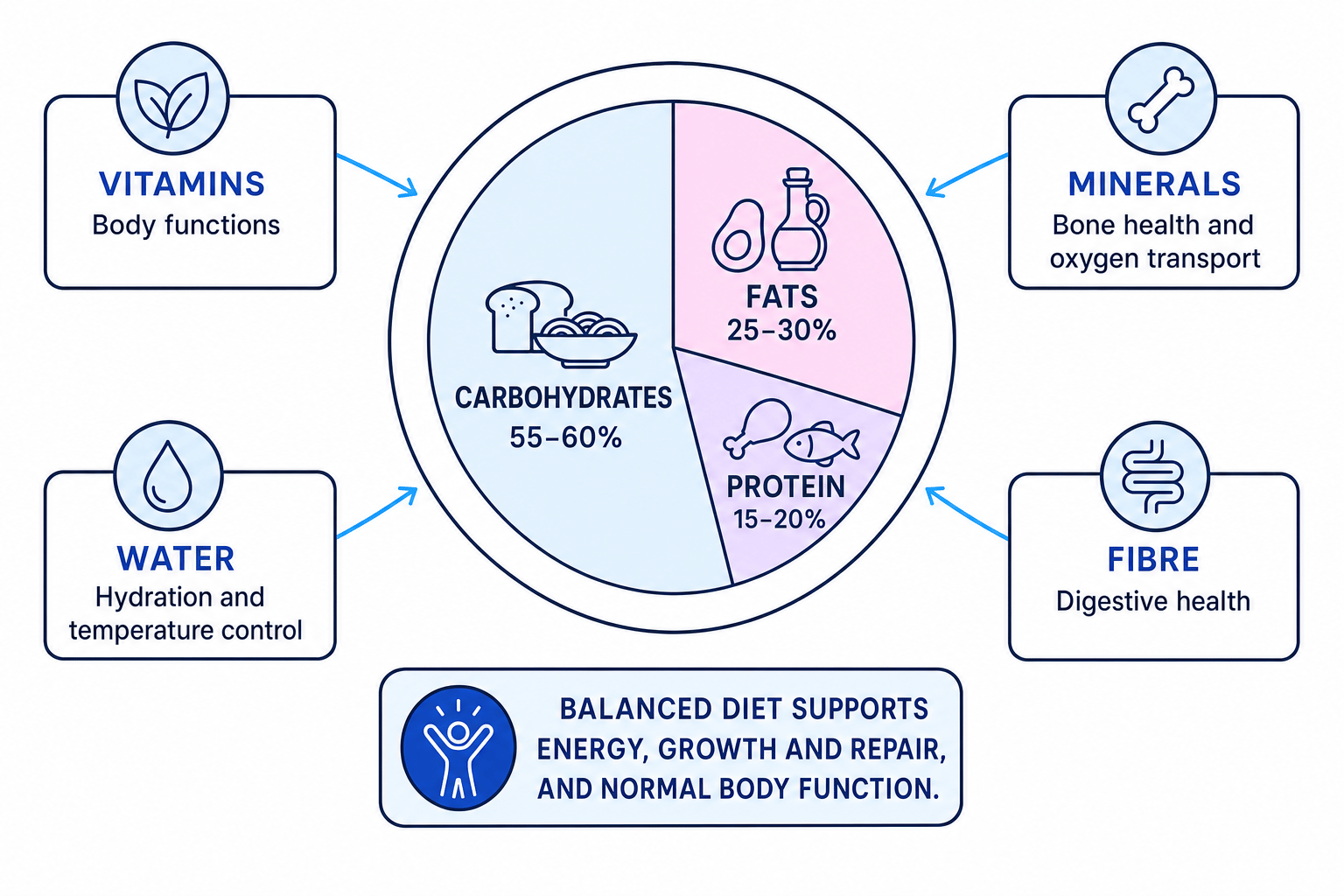 Pie chart showing a balanced diet with 55 to 60 percent carbohydrates, 25 to 30 percent fats, 15 to 20 percent protein, and callouts for vitamins, minerals, water and fibre