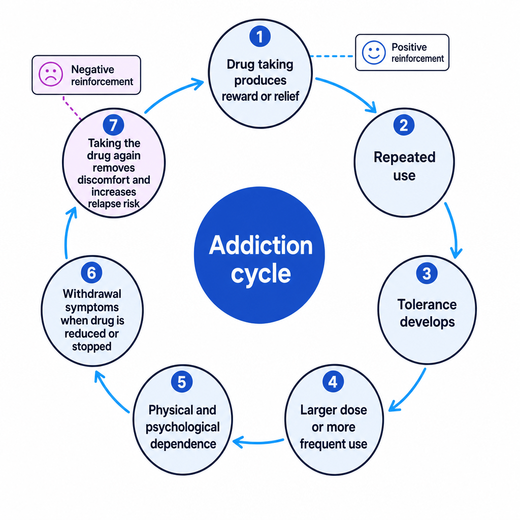 Cycle of drug taking showing reward or relief, repeated use, tolerance, larger dose, dependence, withdrawal and taking the drug again