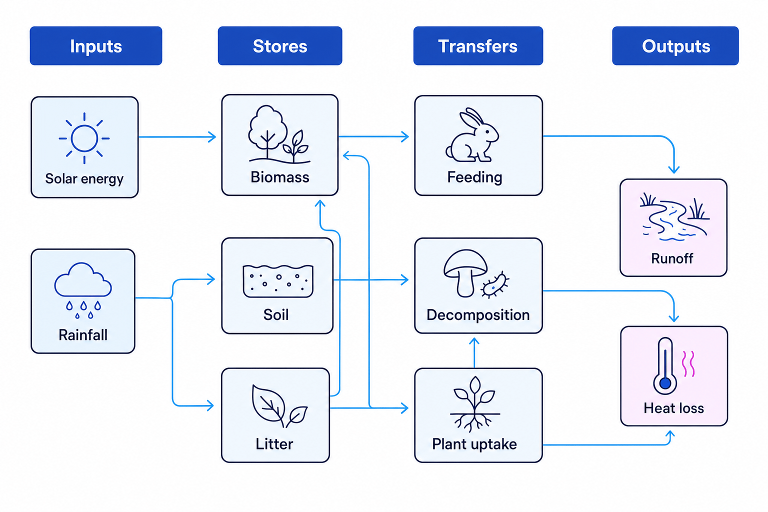 System diagram of an ecosystem showing inputs, stores, transfers, and outputs