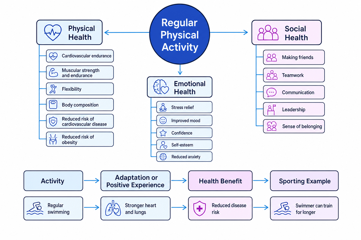 Concept map showing regular physical activity linked to physical, emotional and social health benefits, plus an example chain from swimming to stronger heart and lungs to reduced disease risk to training for longer