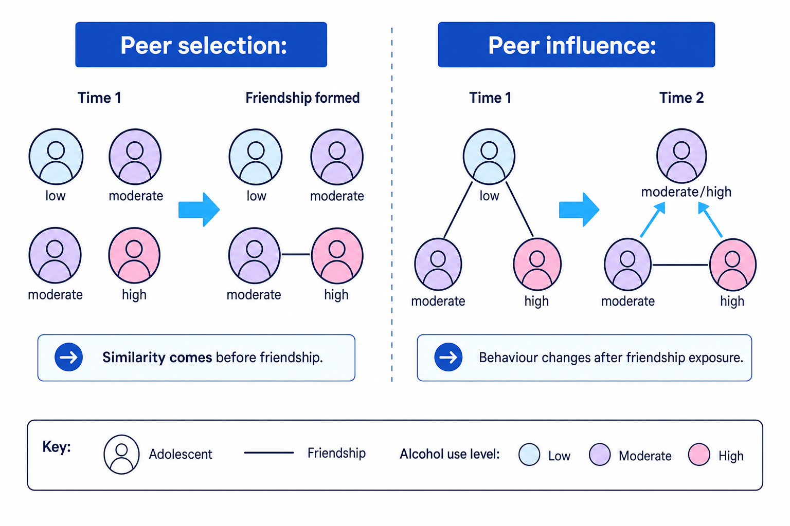 Two-panel network diagram showing peer selection as similarity before friendship and peer influence as later behaviour change after friendship exposure