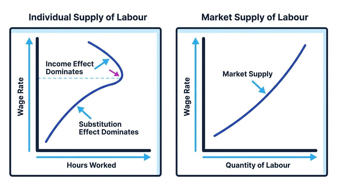 Side-by-side figure showing an individual labour supply curve that bends backward at high wages and a market labour supply curve sloping upward