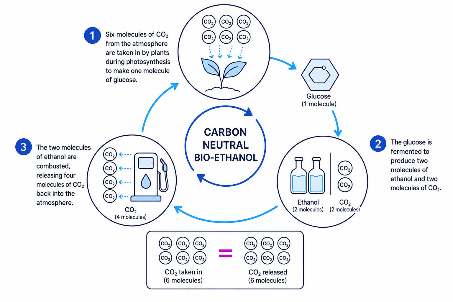 Carbon neutrality cycle of bio-ethanol