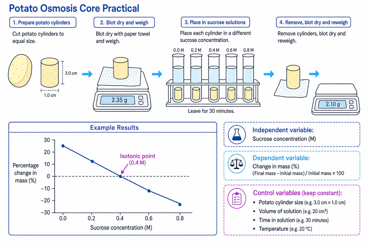 Potato osmosis core practical showing method, variables and example graph