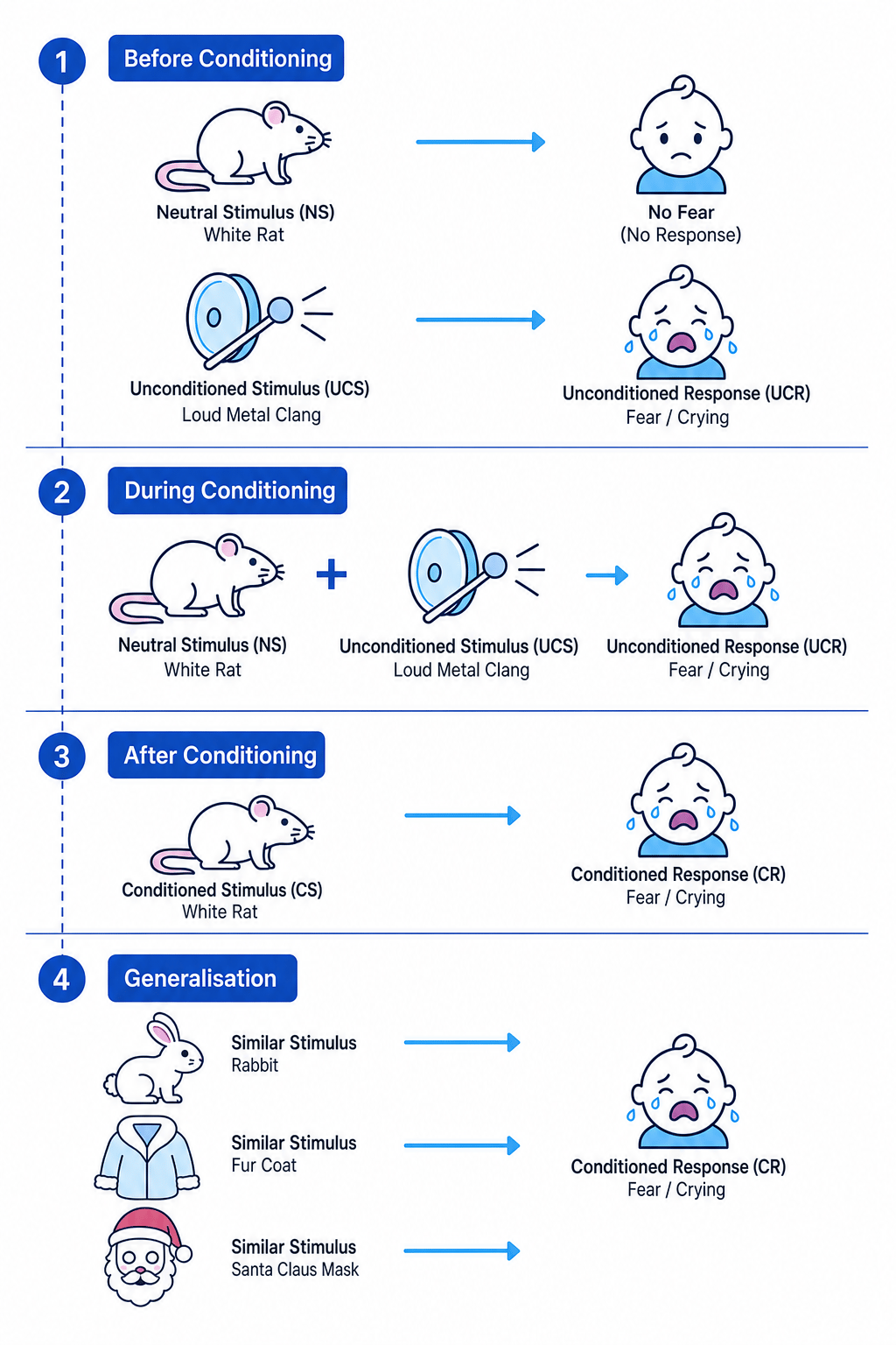 Watson and Rayner Little Albert Flowchart