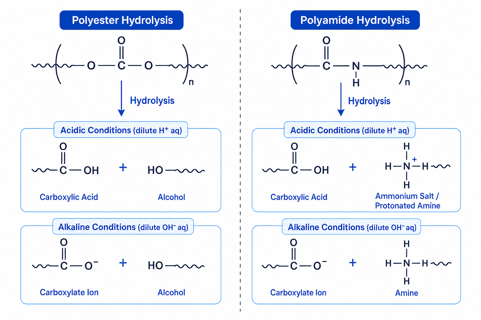 The acid and base hydrolysis pathways of polyesters and polyamides