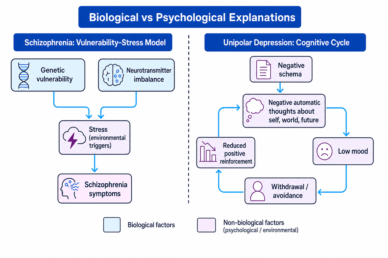 Diagram comparing biological and psychological explanations for schizophrenia and unipolar depression