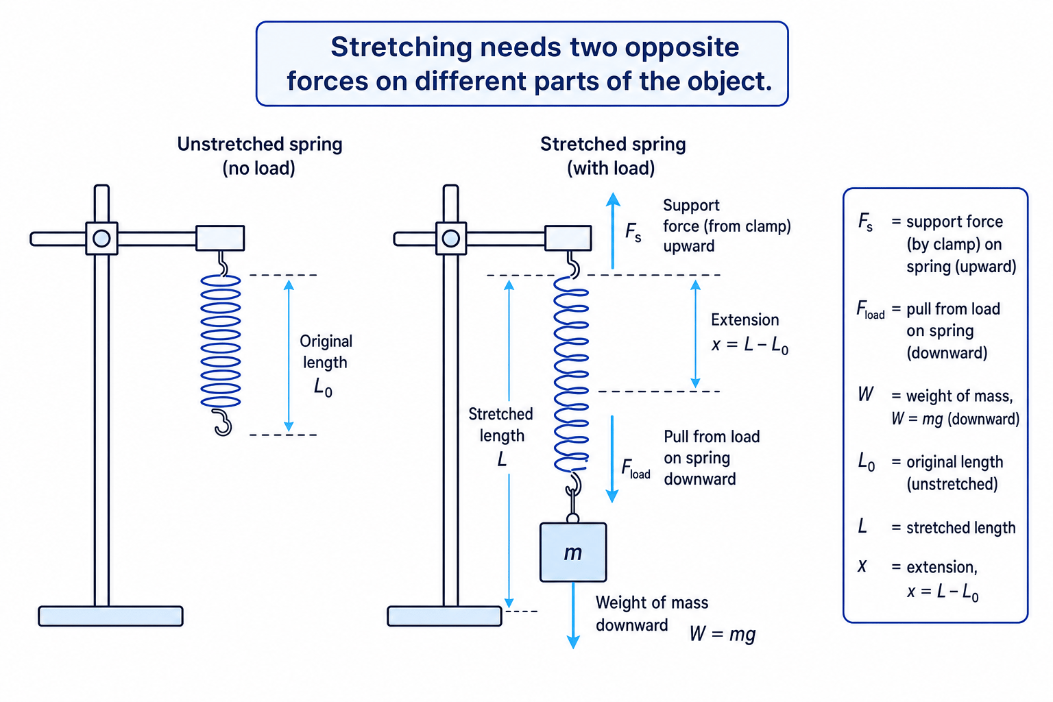 A spring being stretched by opposite forces, showing original length, stretched length and extension