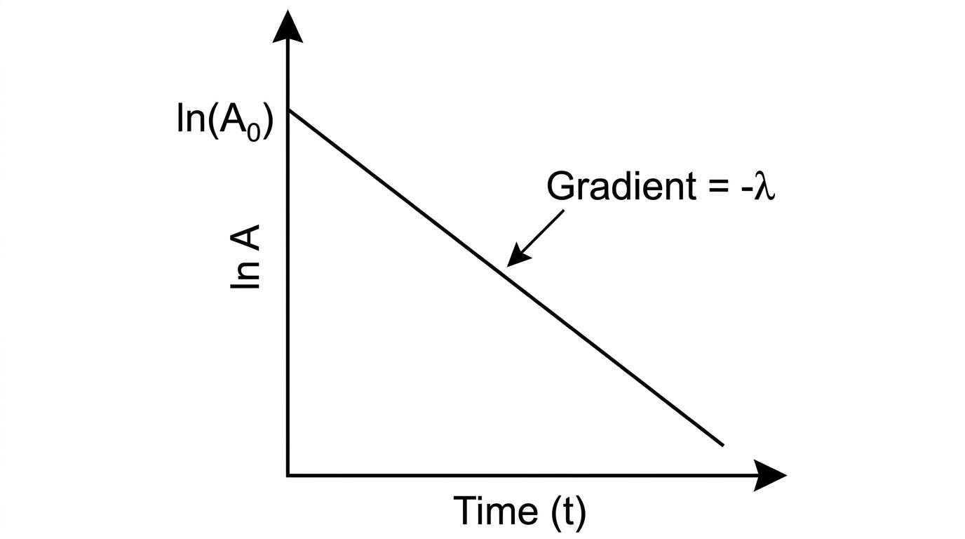 Log graph of Activity vs Time
