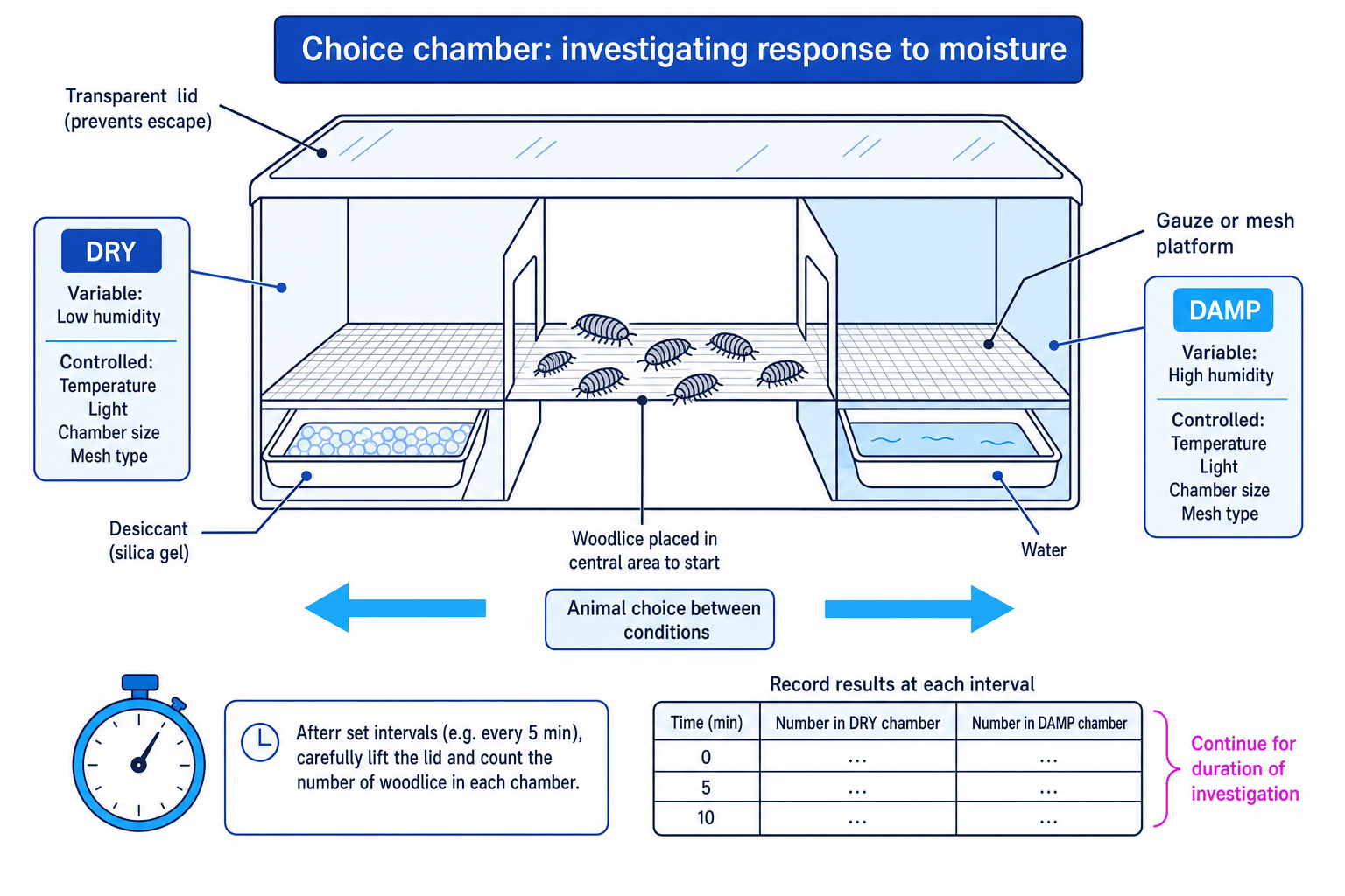 Choice chamber investigating woodlice movement in response to humidity