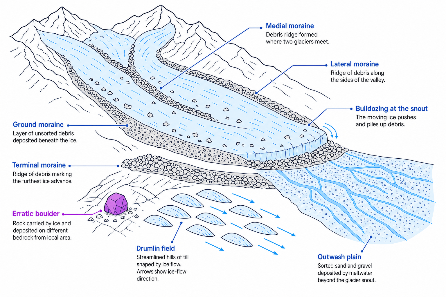 Labelled diagram of glacial transportation and deposition landforms including moraine, erratics, drumlins and outwash