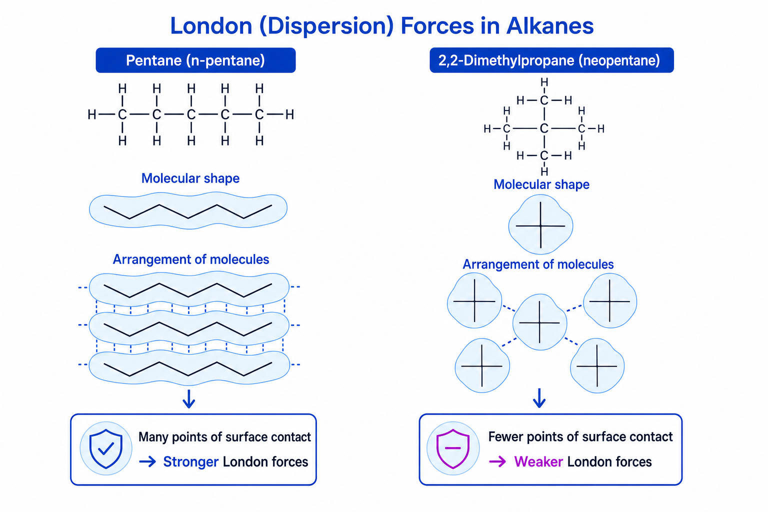 London Forces in Pentane vs 2,2-Dimethylpropane