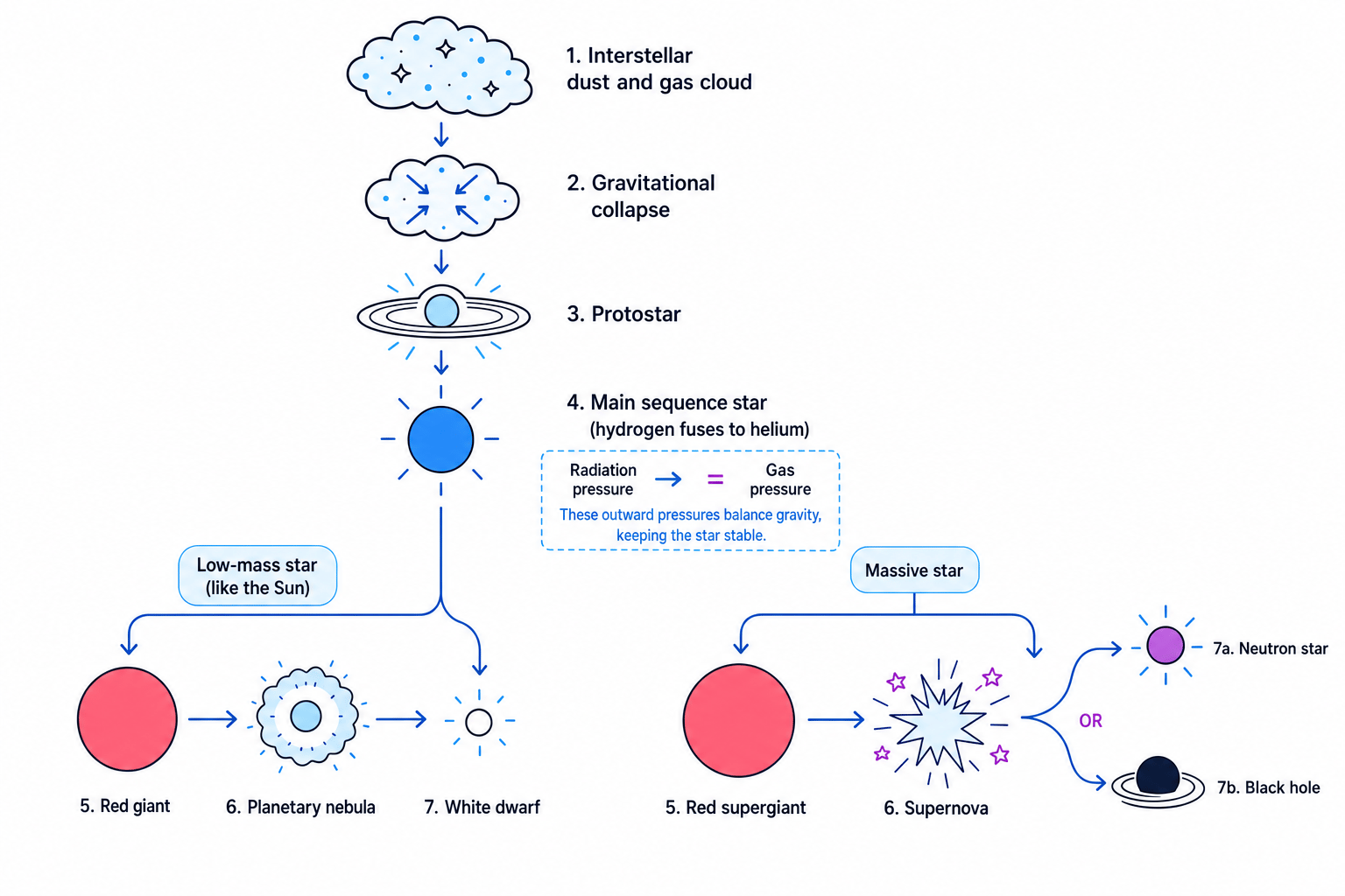 Flowchart showing stellar formation from interstellar dust and gas, then low-mass and massive star evolution paths