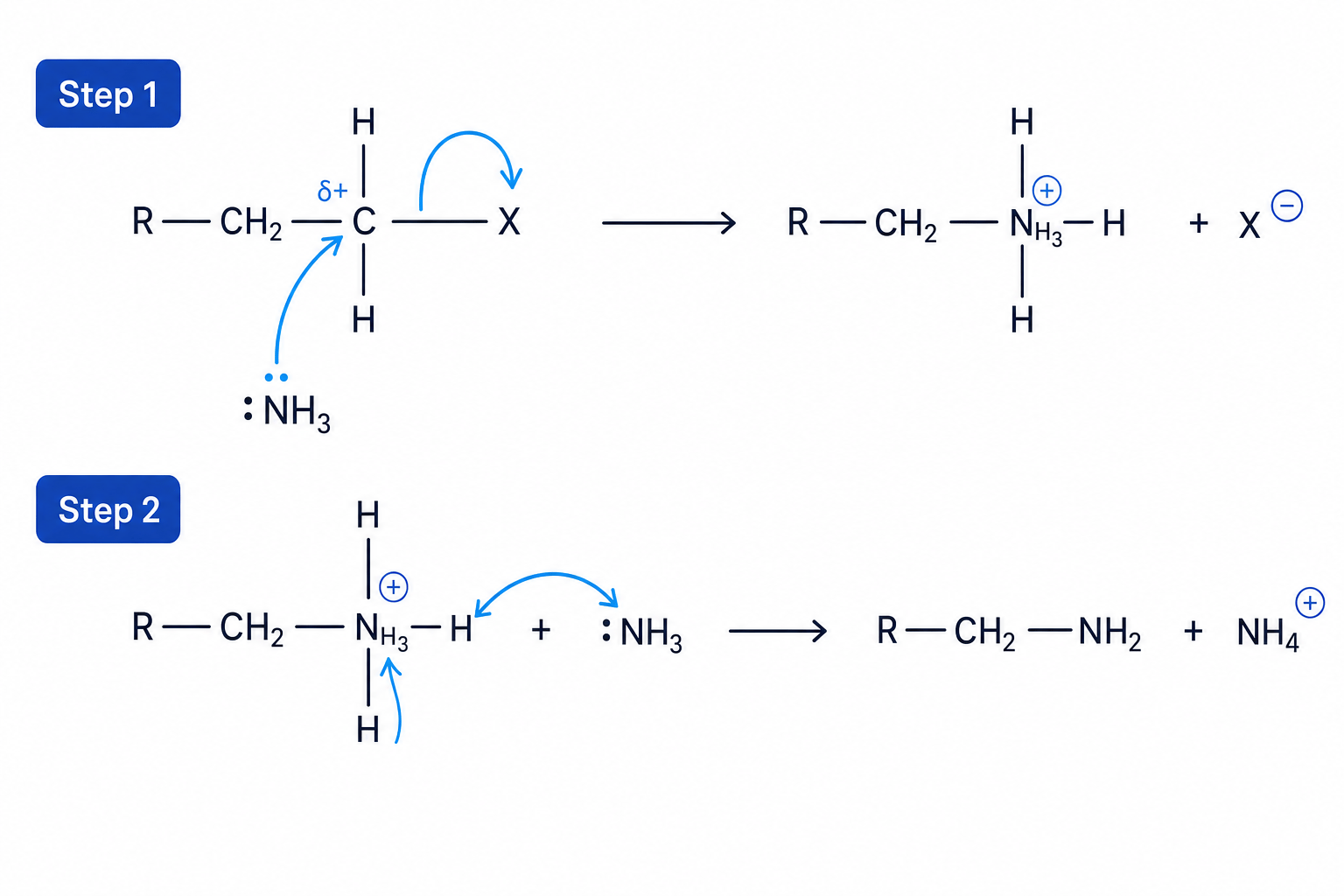 Nucleophilic substitution with ammonia