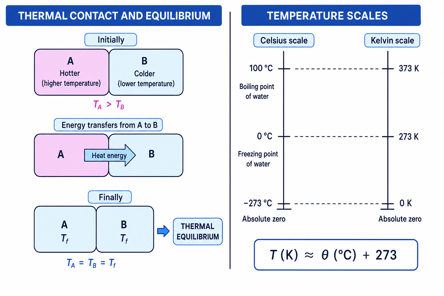 Diagram showing thermal contact, thermal equilibrium, and Celsius and kelvin temperature scales