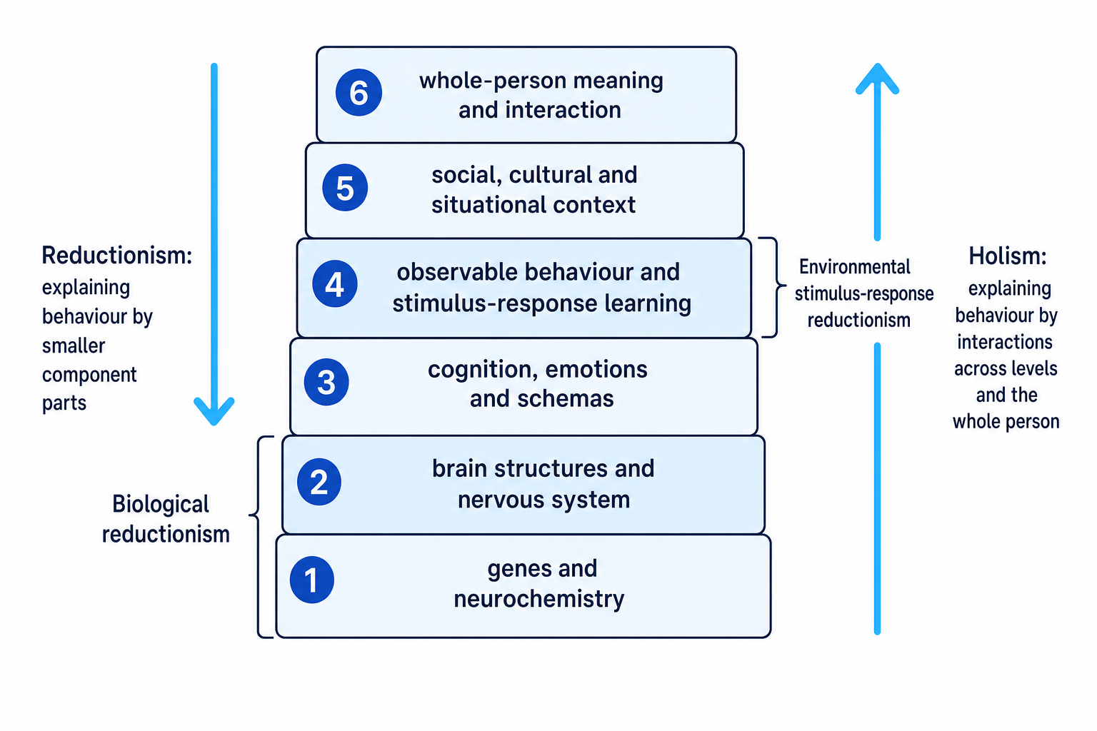 Stacked levels of explanation in psychology, showing reductionism downwards and holism upwards