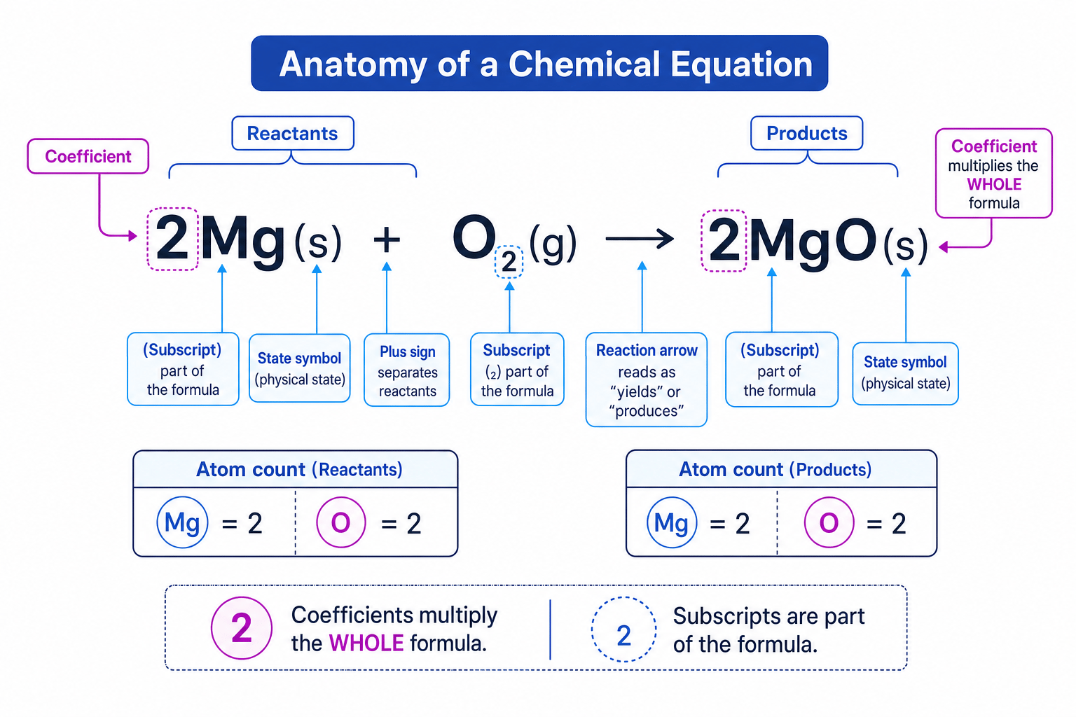 Labelled anatomy of the equation 2Mg(s) + O₂(g) → 2MgO(s), showing coefficients, subscripts, state symbols and atom counts.