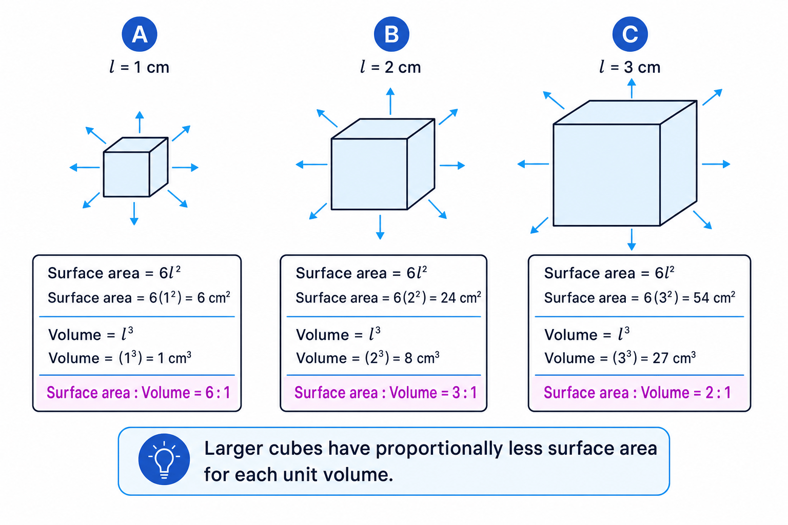Three cubes showing that surface area to volume ratio decreases as cube size increases