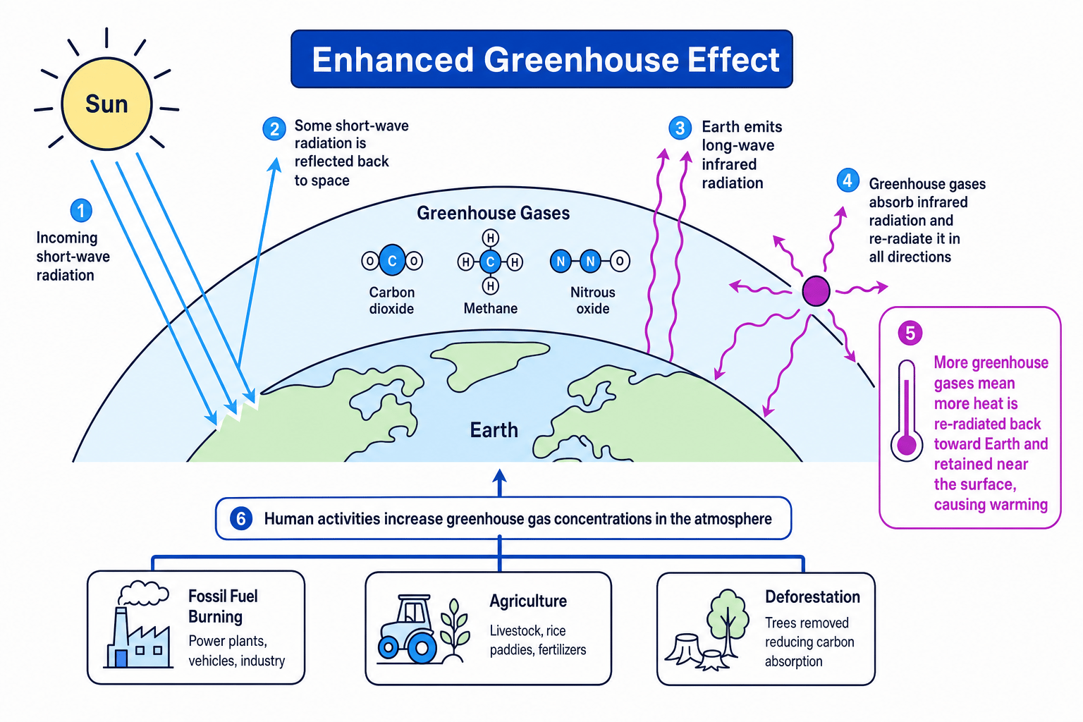 Diagram explaining the enhanced greenhouse effect and human sources of greenhouse gases