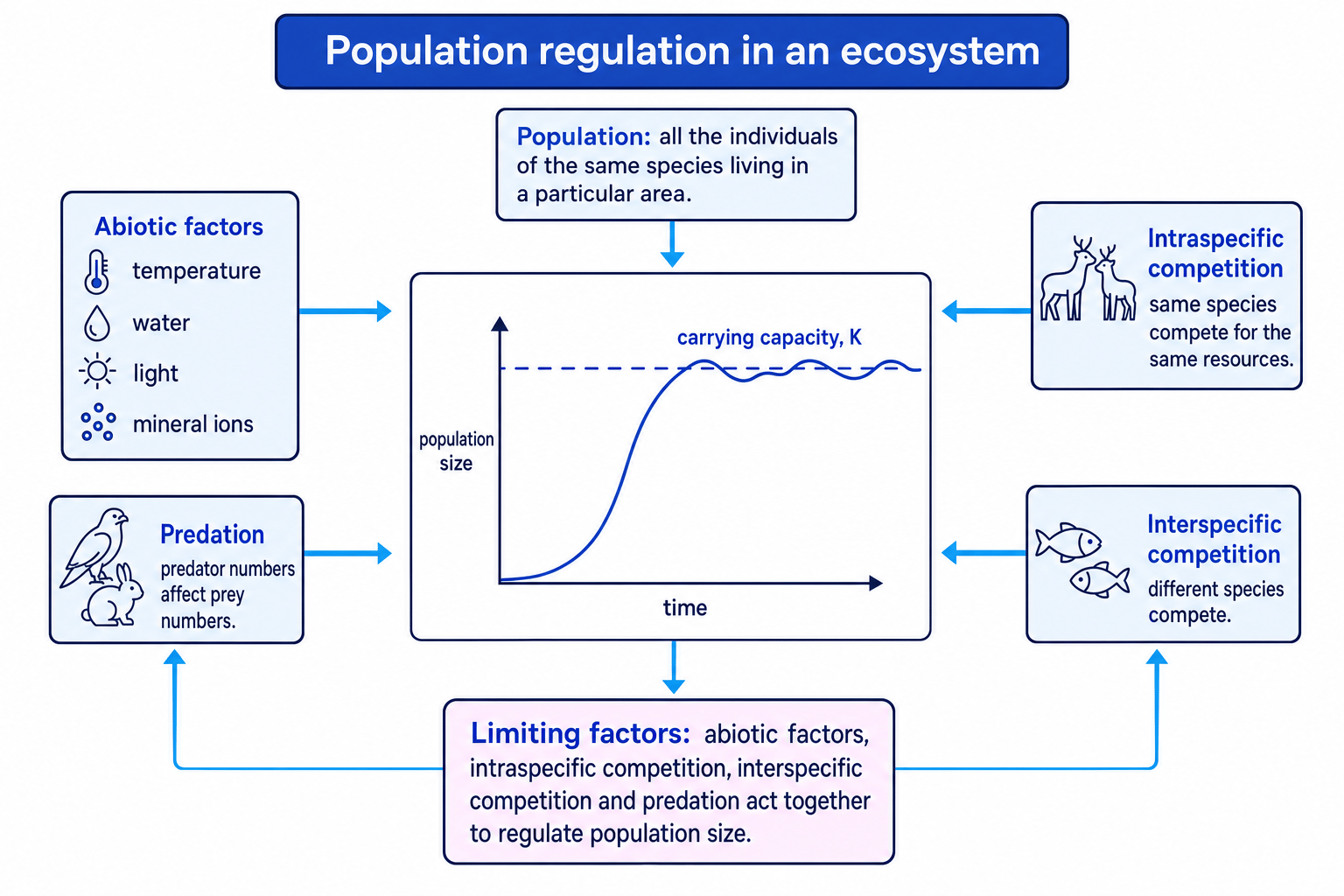Diagram showing carrying capacity and limiting factors affecting population size