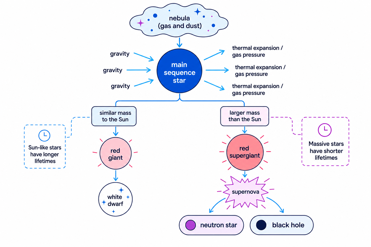 Flow chart of stellar evolution showing nebula to main sequence, then Sun-like and massive star pathways