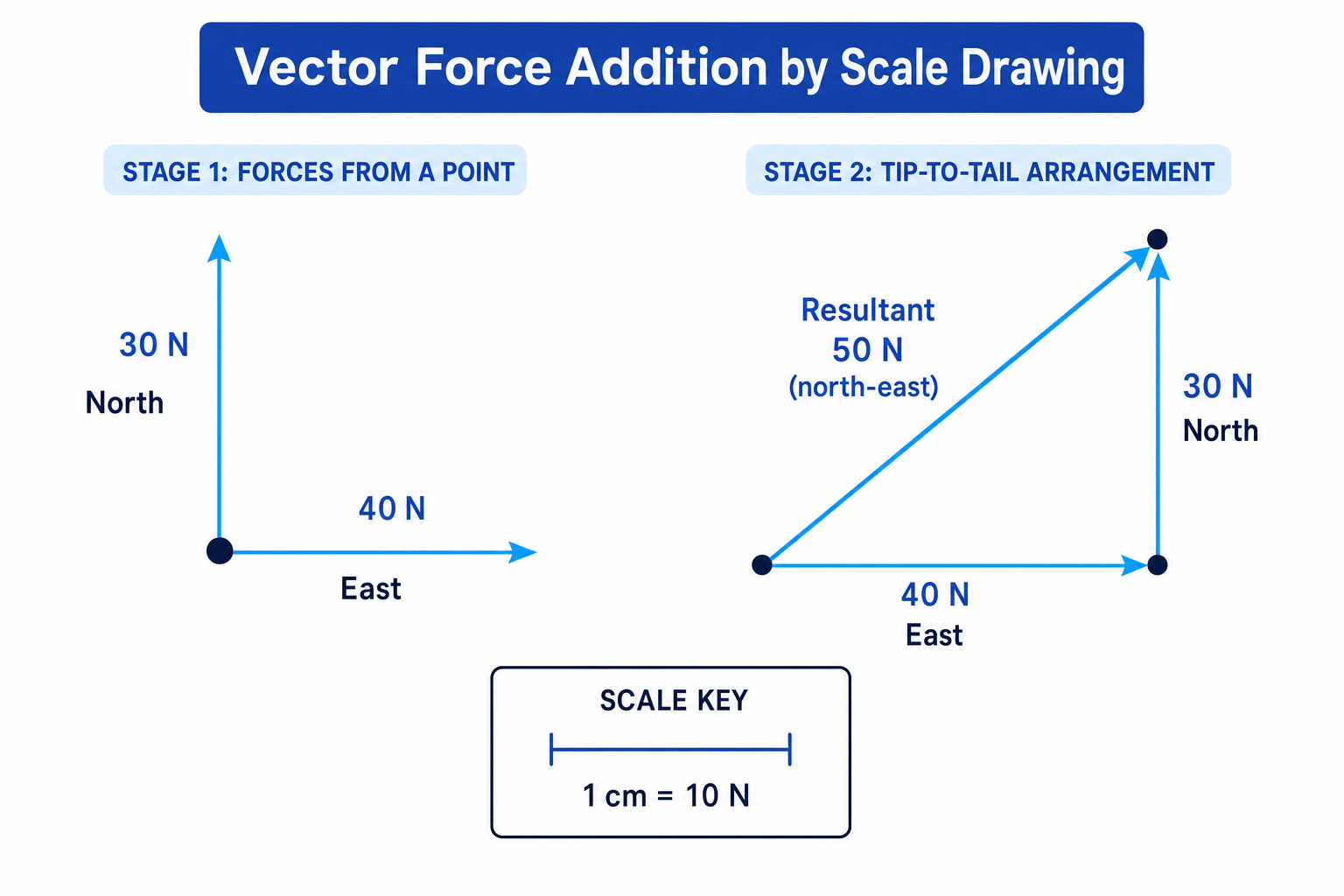 Vector force addition by scale drawing showing 40 N east plus 30 N north giving a 50 N north-east resultant