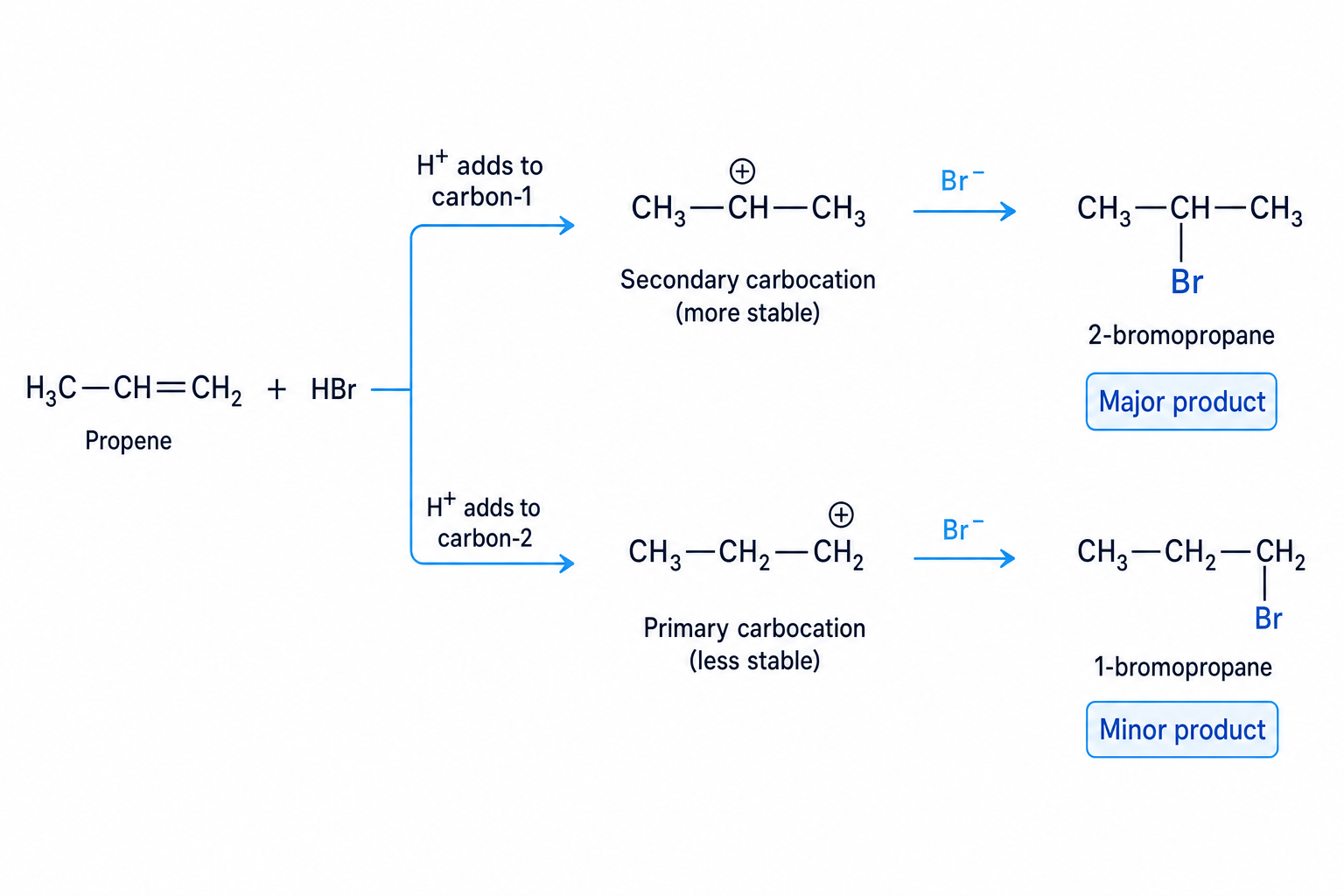 Propene and HBr major and minor pathways