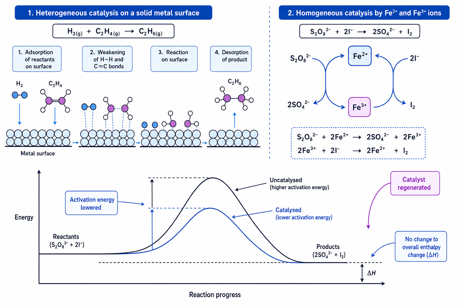 Transition metal heterogeneous and homogeneous catalysis