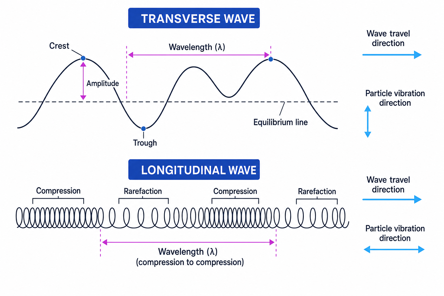 Diagram comparing transverse and longitudinal waves with amplitude, wavelength, crests, troughs, compressions and rarefactions labelled