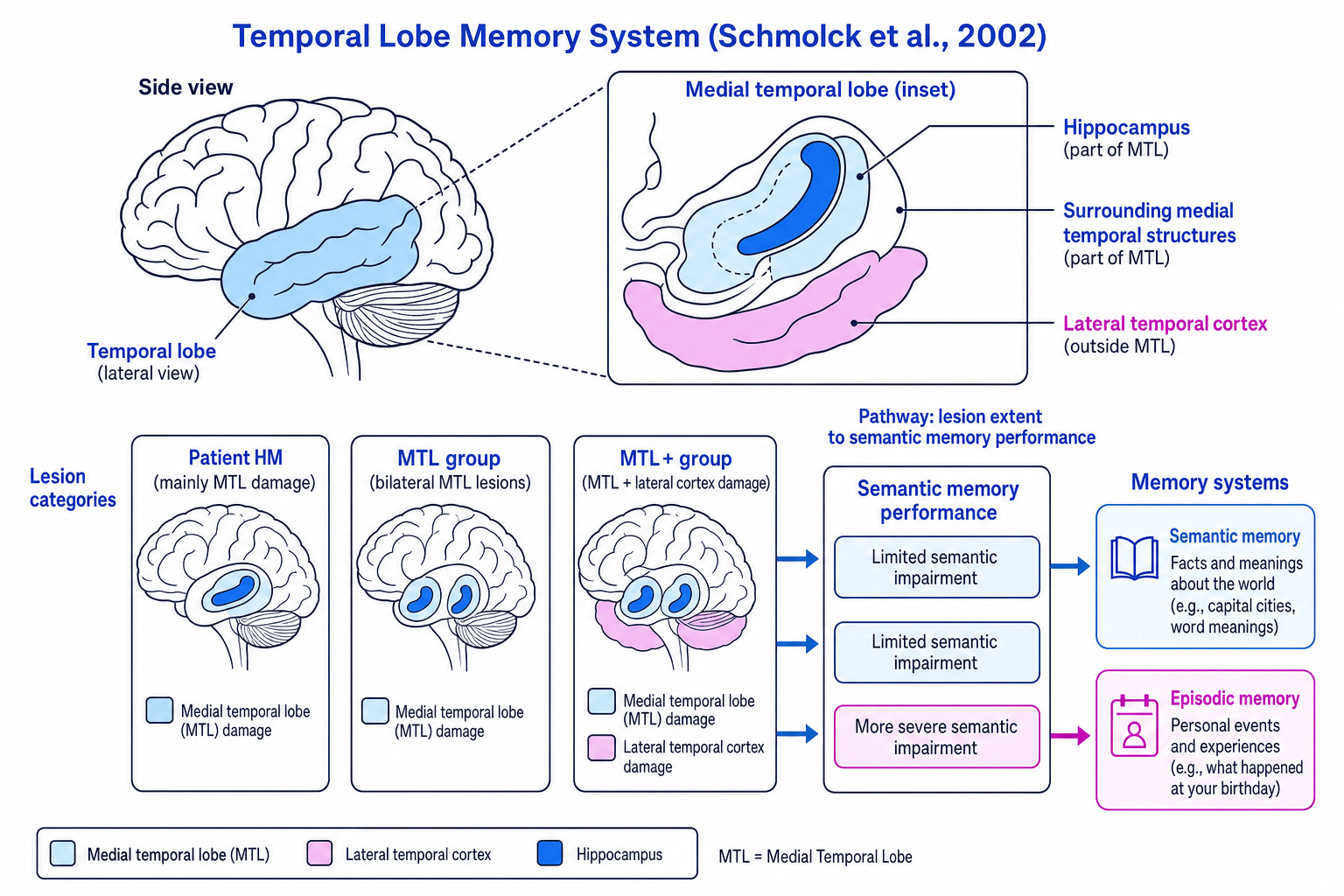 Diagram showing medial and lateral temporal lobe damage groups in Schmolck et al. (2002)