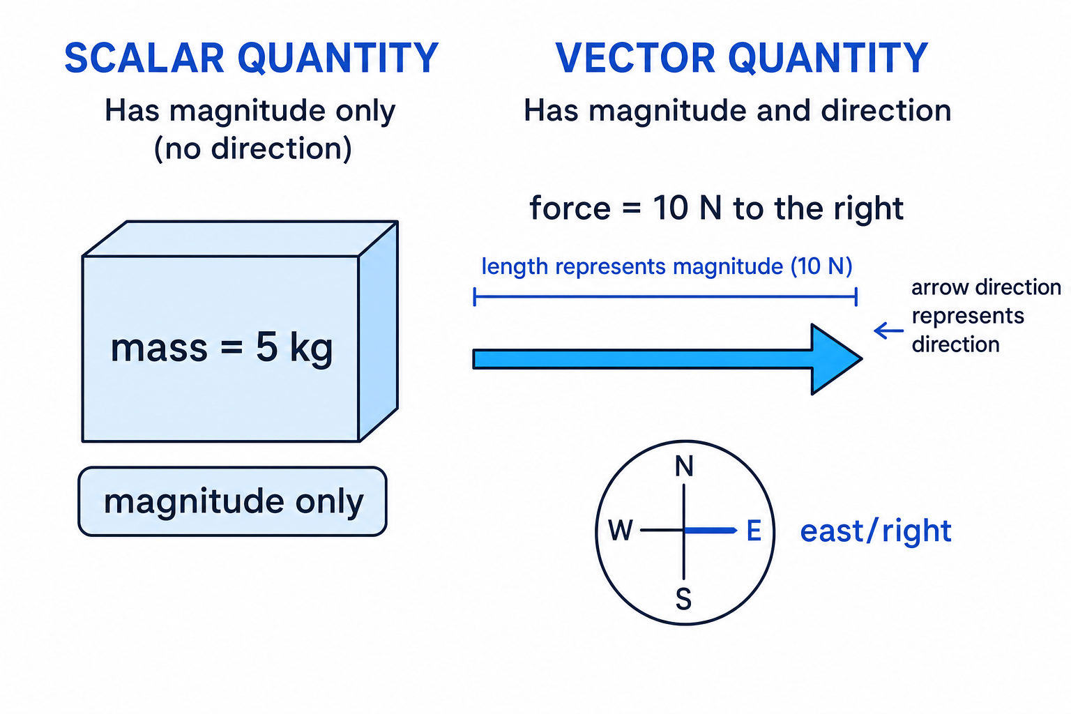 Diagram comparing a scalar quantity with a vector quantity, showing magnitude only for mass and magnitude plus direction for a force arrow