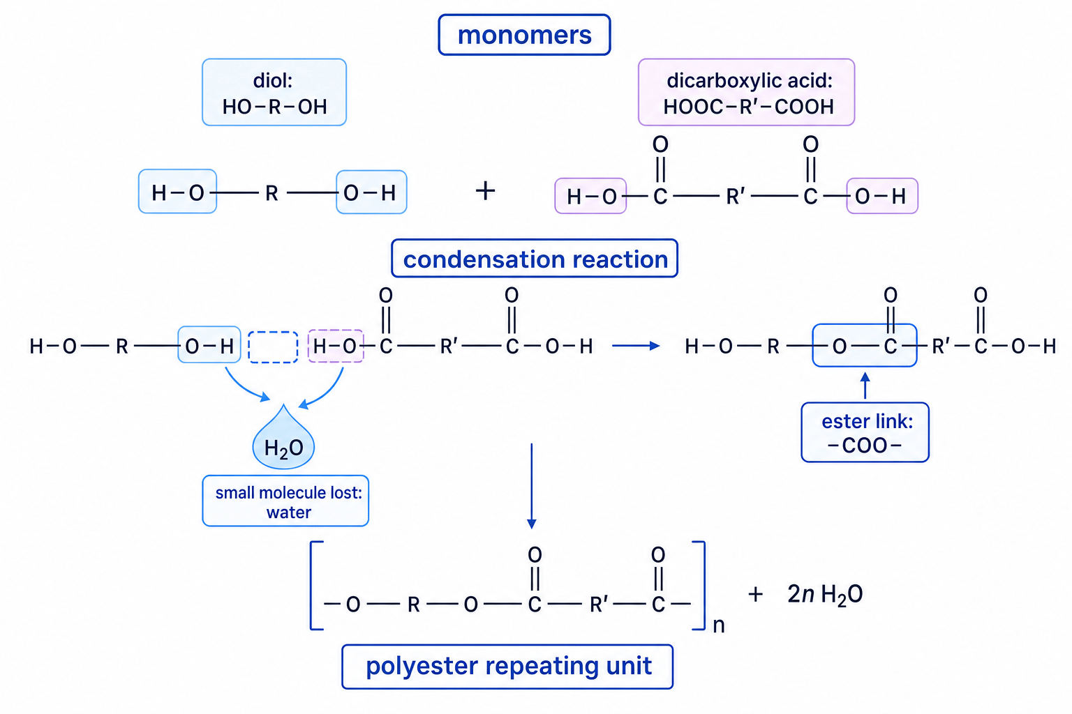 Diagram showing diol and dicarboxylic acid monomers forming a polyester repeating unit by condensation polymerisation, with water lost and the ester link labelled
