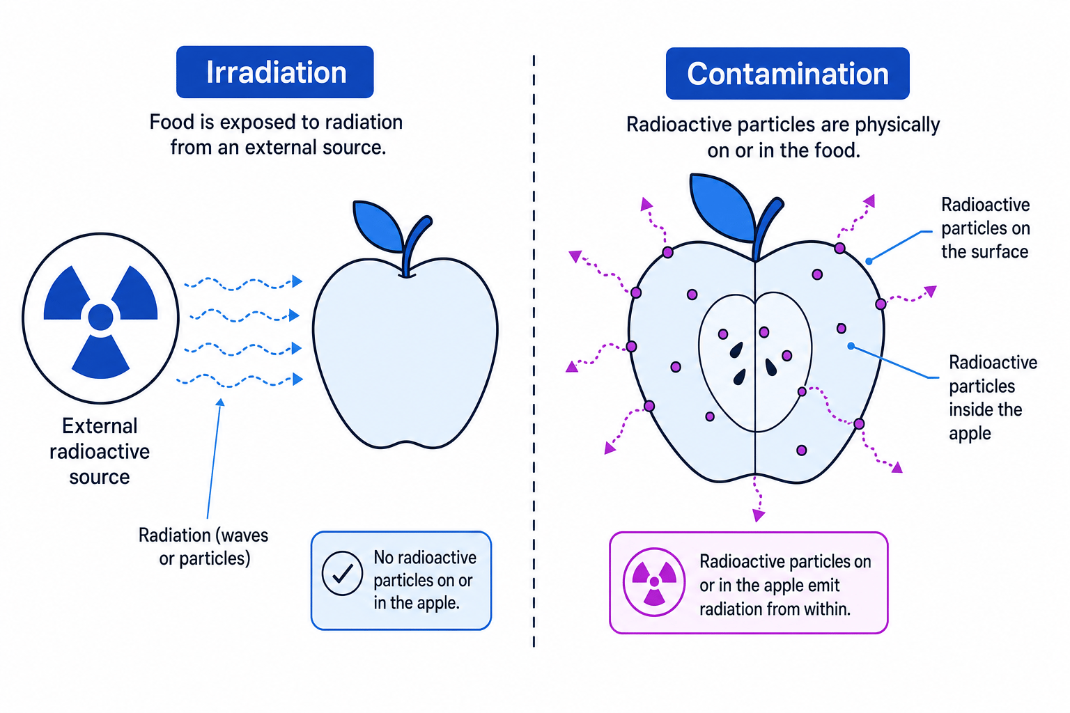 The difference between irradiation and contamination