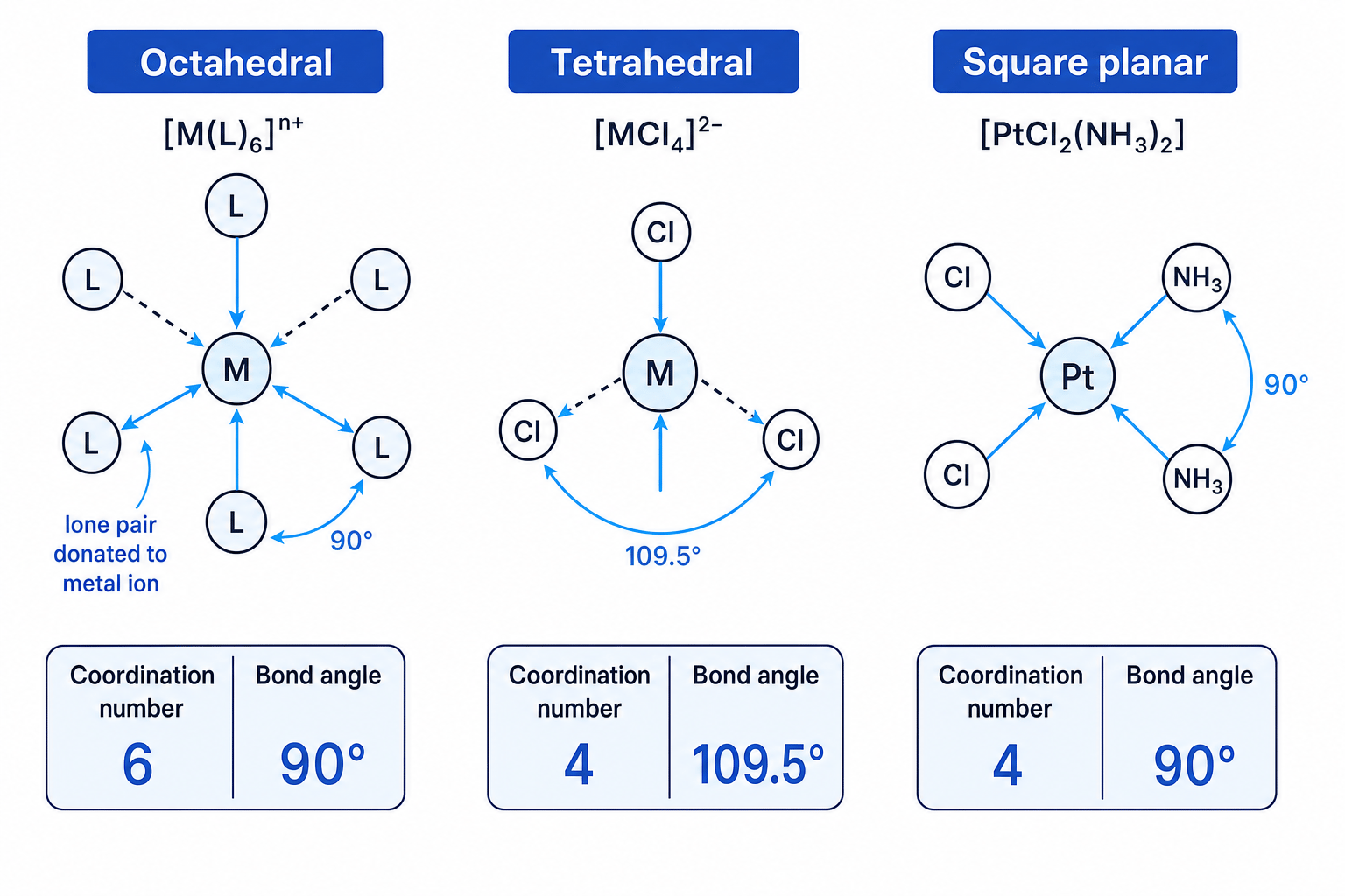 Comparison of octahedral, tetrahedral and square planar transition-metal complex geometries