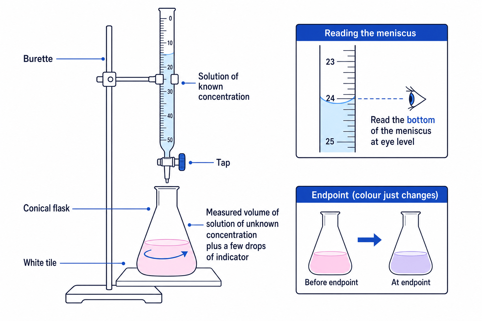 Labelled titration apparatus showing burette, conical flask, indicator, endpoint and meniscus reading