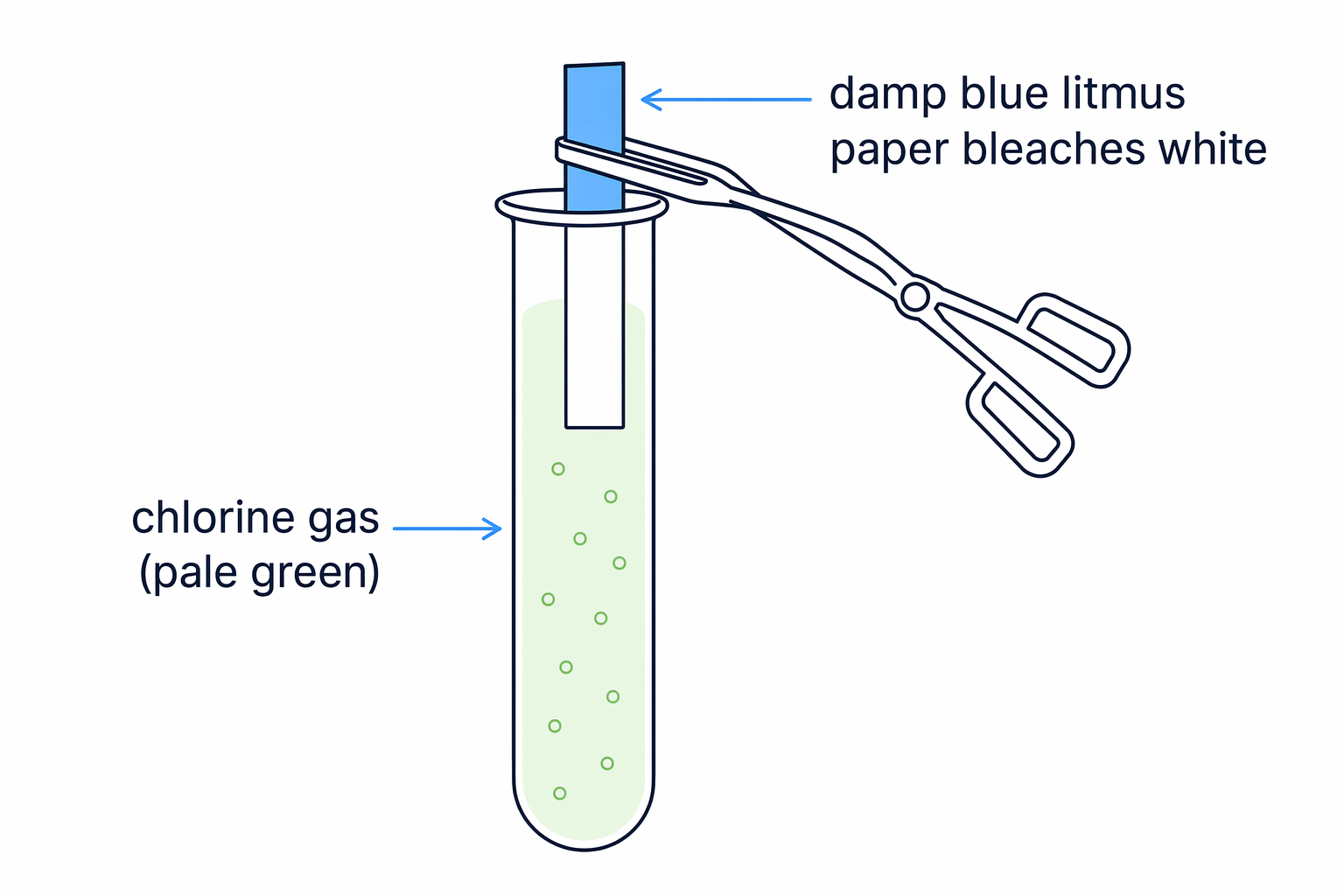 Test for chlorine
