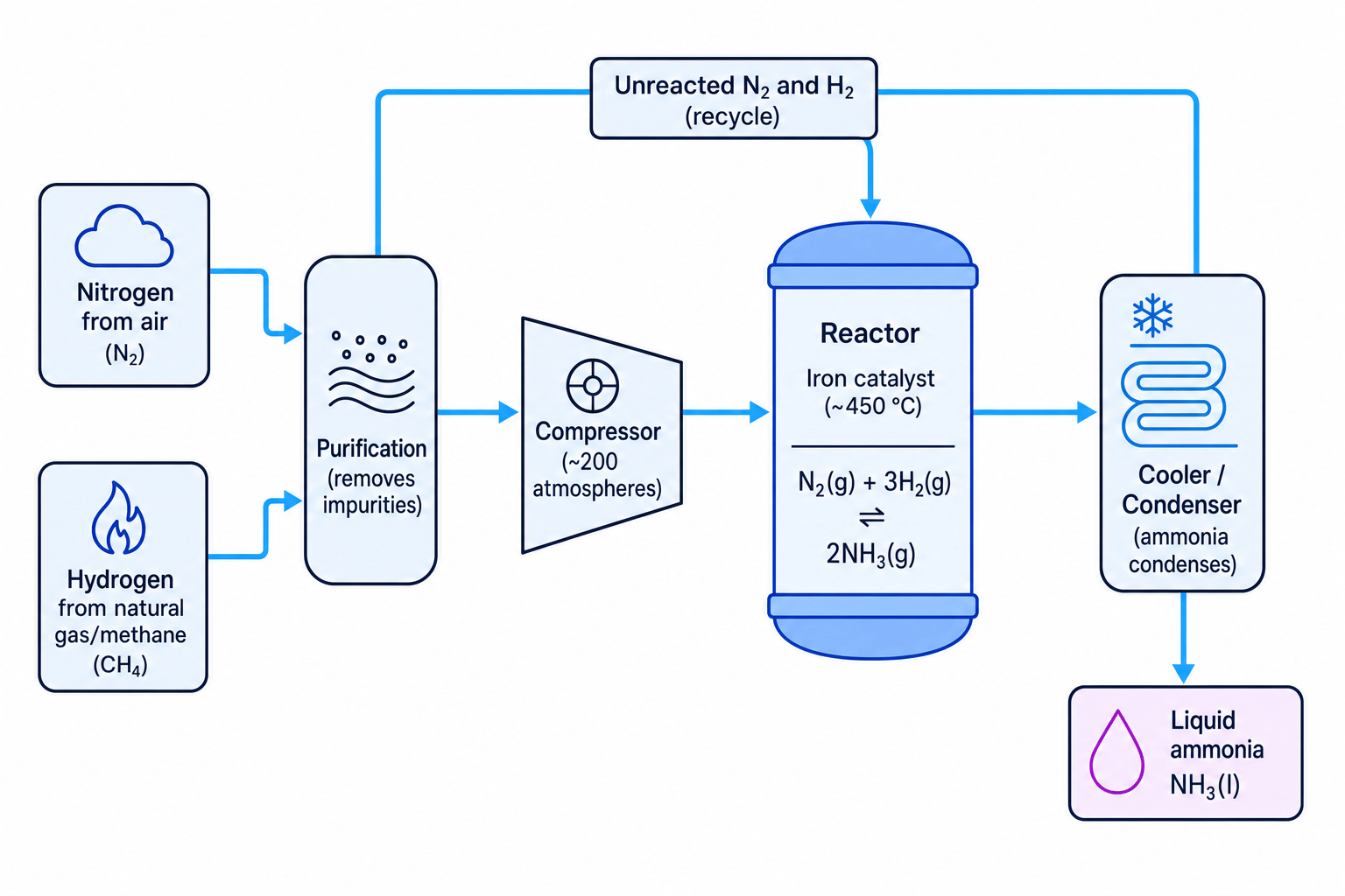 Flow diagram of the Haber process showing nitrogen and hydrogen sources, compressor, reactor, cooler, ammonia removal, and gas recycling