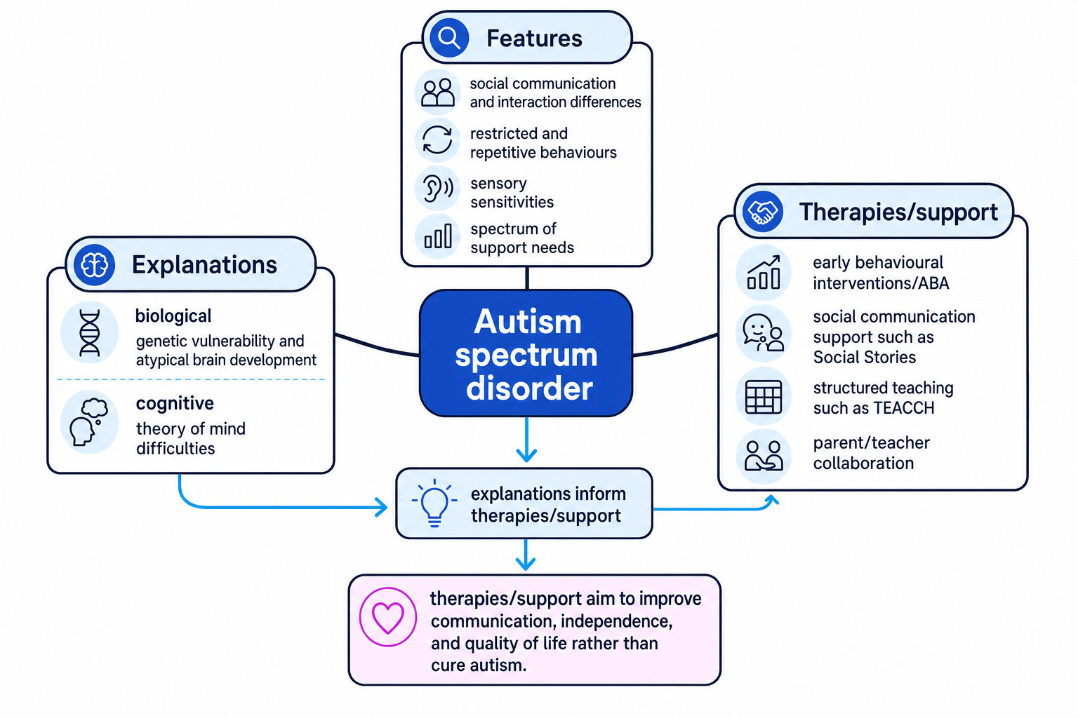 Concept map linking autism features, explanations and therapies