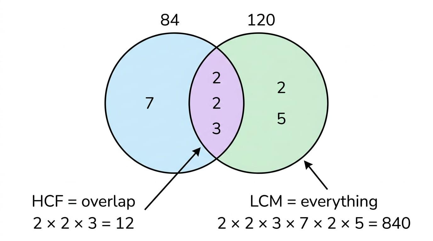 Prime factor Venn diagram for HCF and LCM