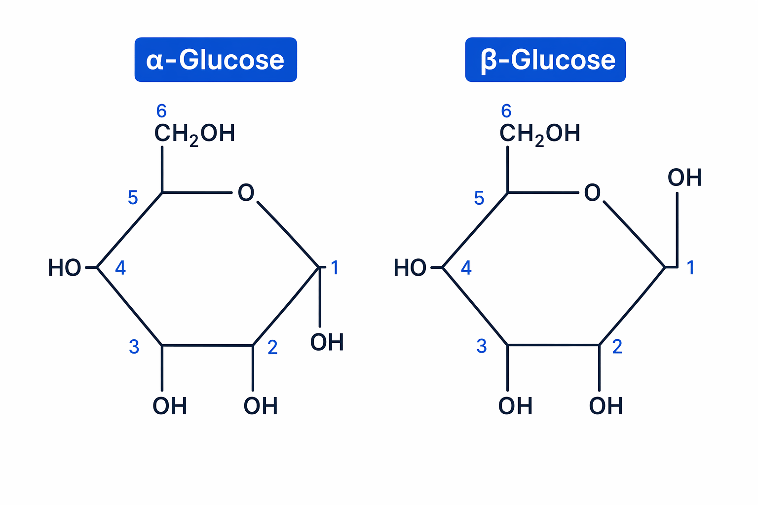 Chemical structures of alpha and beta glucose