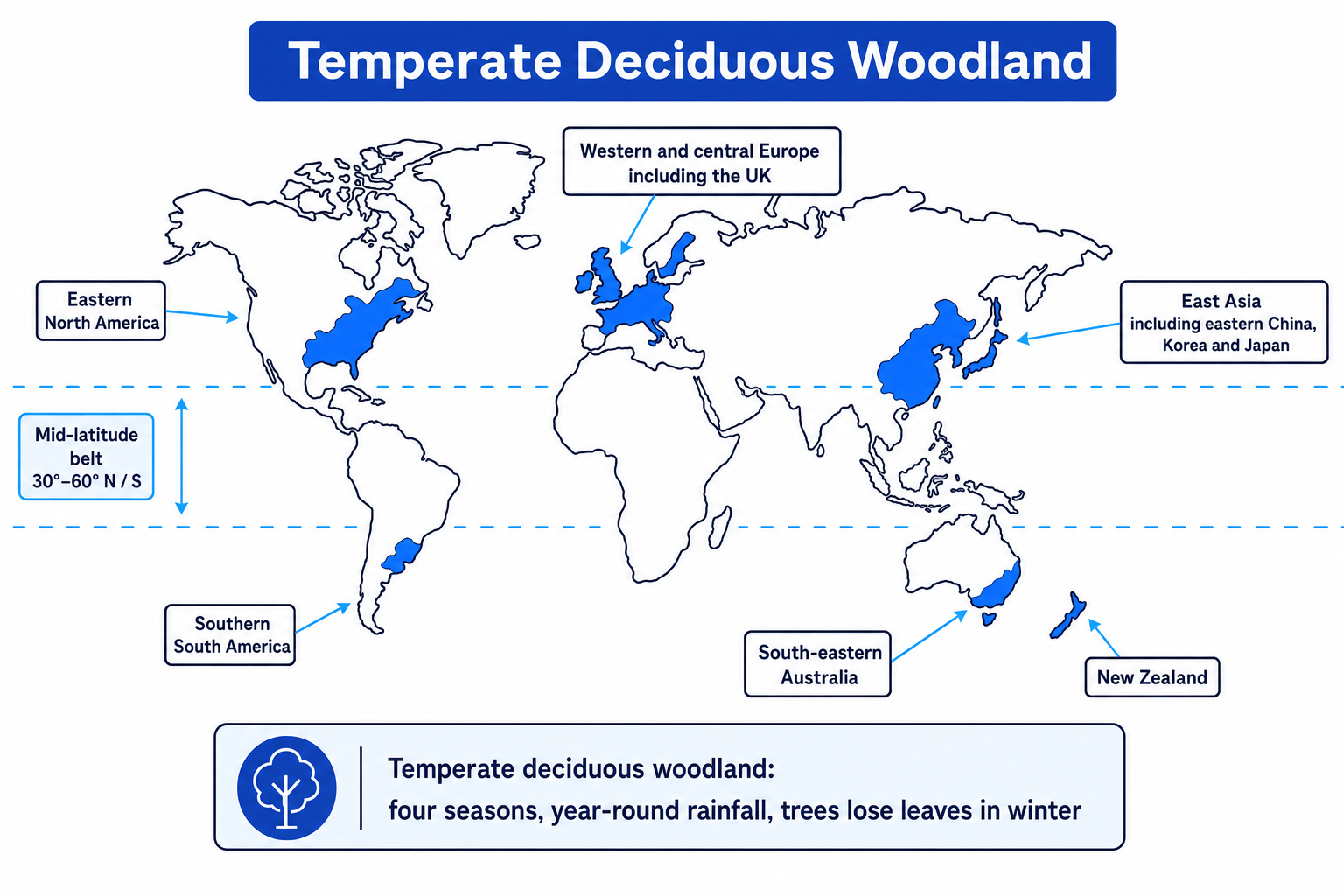 World map showing the global distribution of temperate deciduous woodland