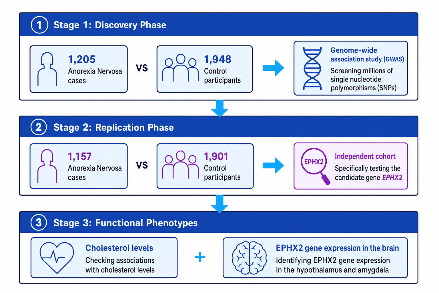 Scott-Van Zeeland et al. (2013) Research Design Flowchart