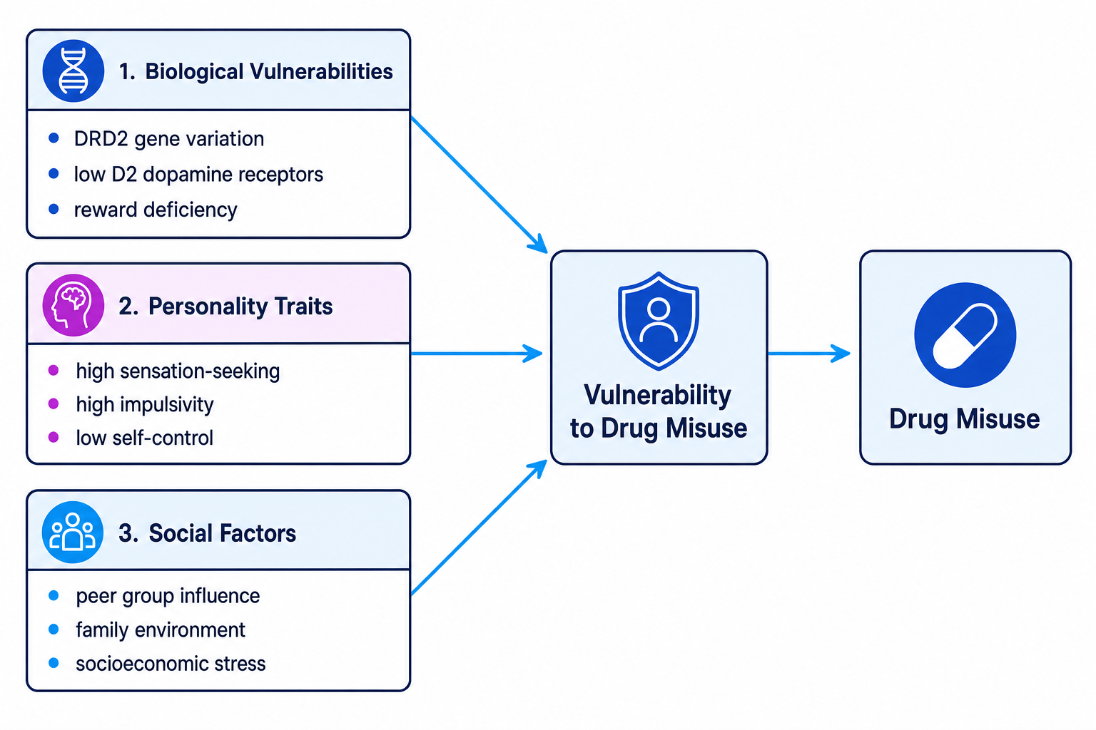 Biopsychosocial Framework of Drug Misuse