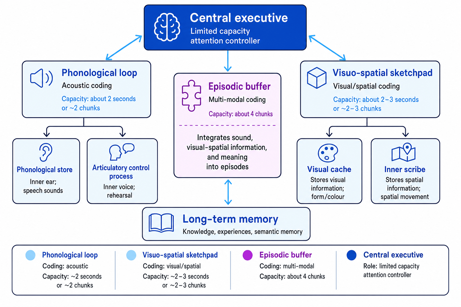 Labelled diagram of Baddeley and Hitch's working memory model showing the central executive, phonological loop, visuo-spatial sketchpad, episodic buffer and long-term memory