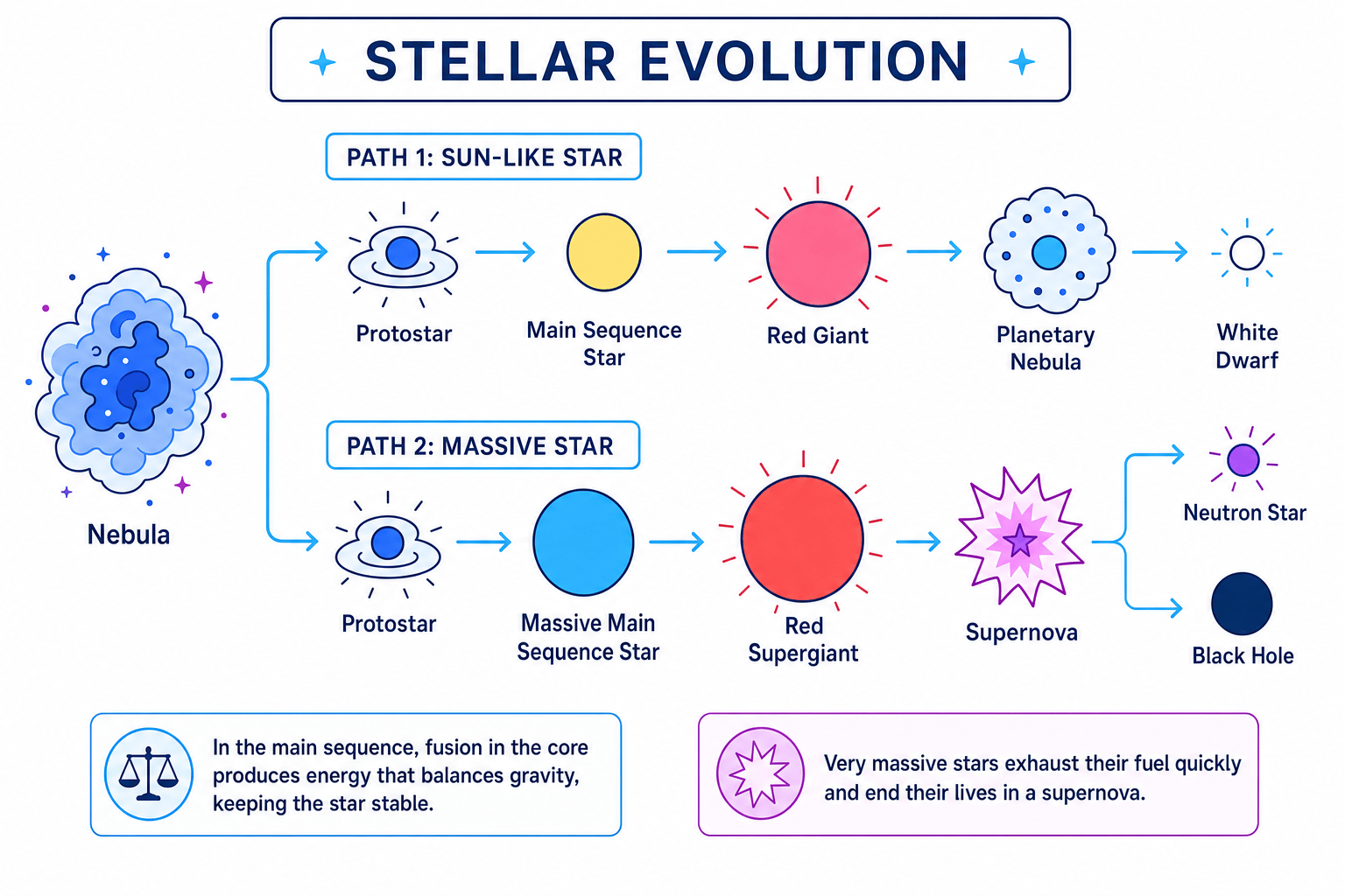 Flow chart showing stellar evolution pathways for Sun-like and massive stars