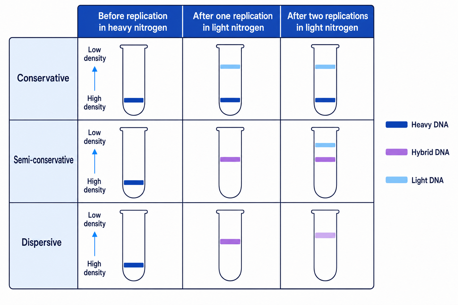 Density-gradient centrifugation predictions for conservative, semi-conservative and dispersive DNA replication models