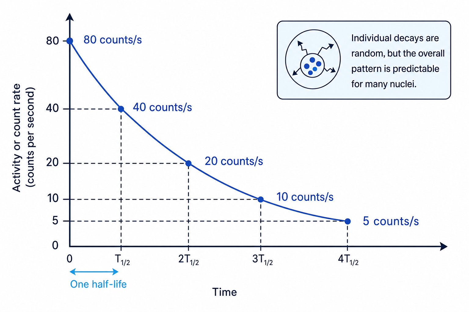 Half-life graph showing activity halving after each equal time interval
