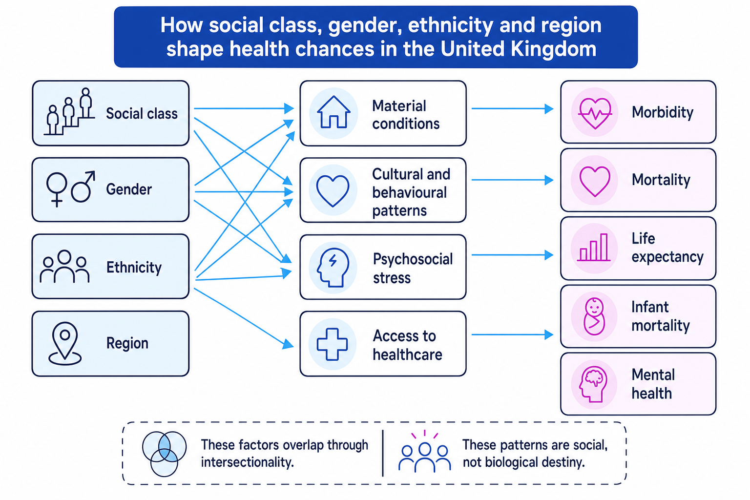 Diagram showing how social class, gender, ethnicity and region shape UK health chances through material conditions, cultural and behavioural patterns, psychosocial stress and access to healthcare