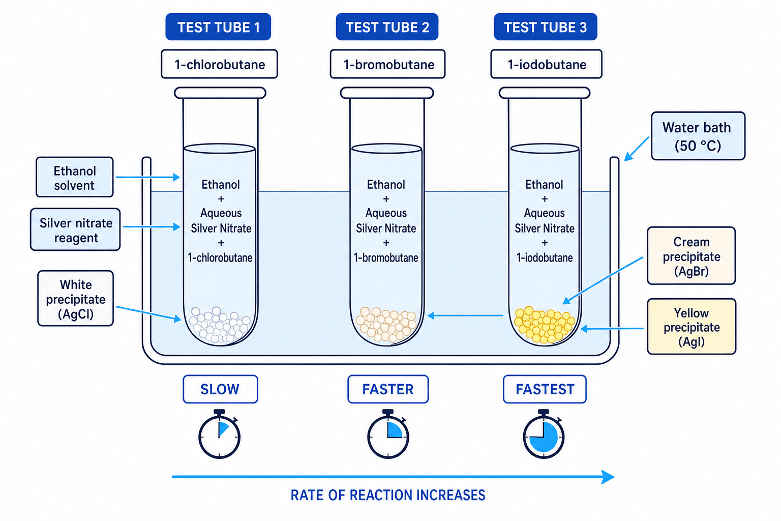 PAG7 Rates of Hydrolysis Experiment