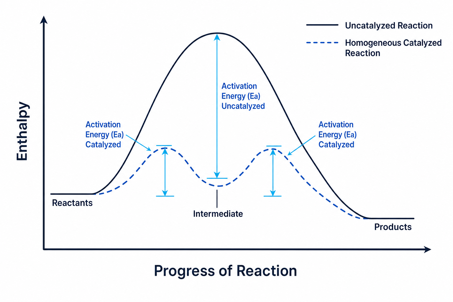 Homogeneous Catalysis Profile